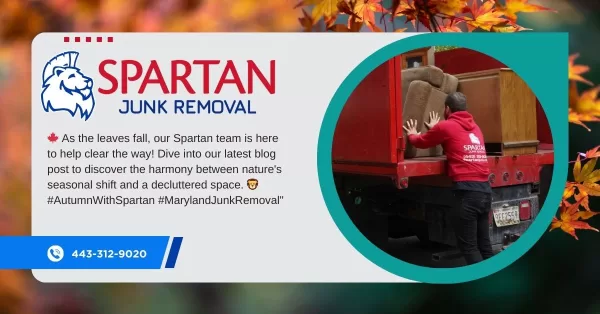 Spartan Junk Removal Helping In Autumn