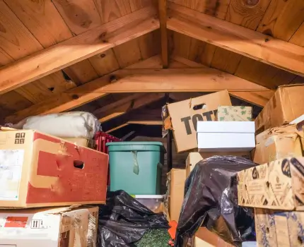 Attic Cleanout Service