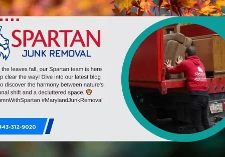 Spartan Junk Removal helping in Autumn